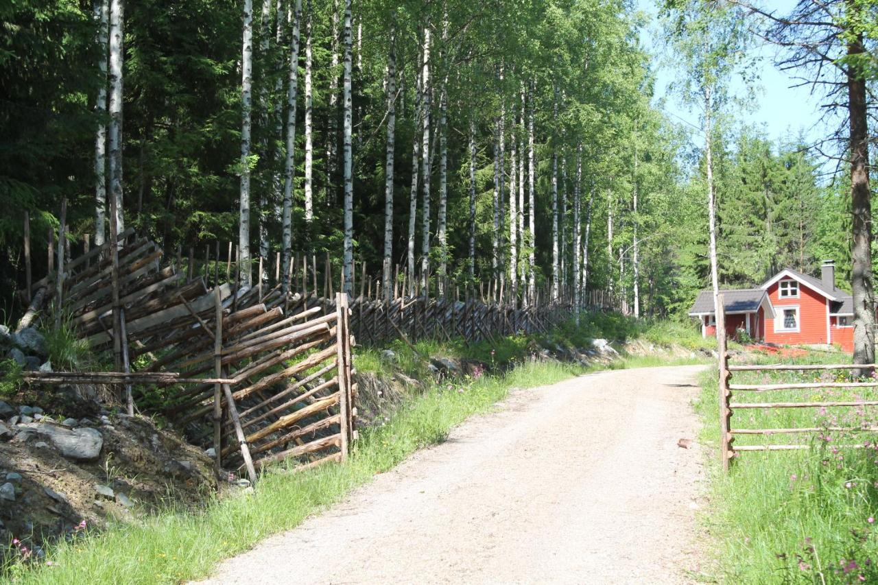 Metsapirtti Villa Kolinkylä Eksteriør billede