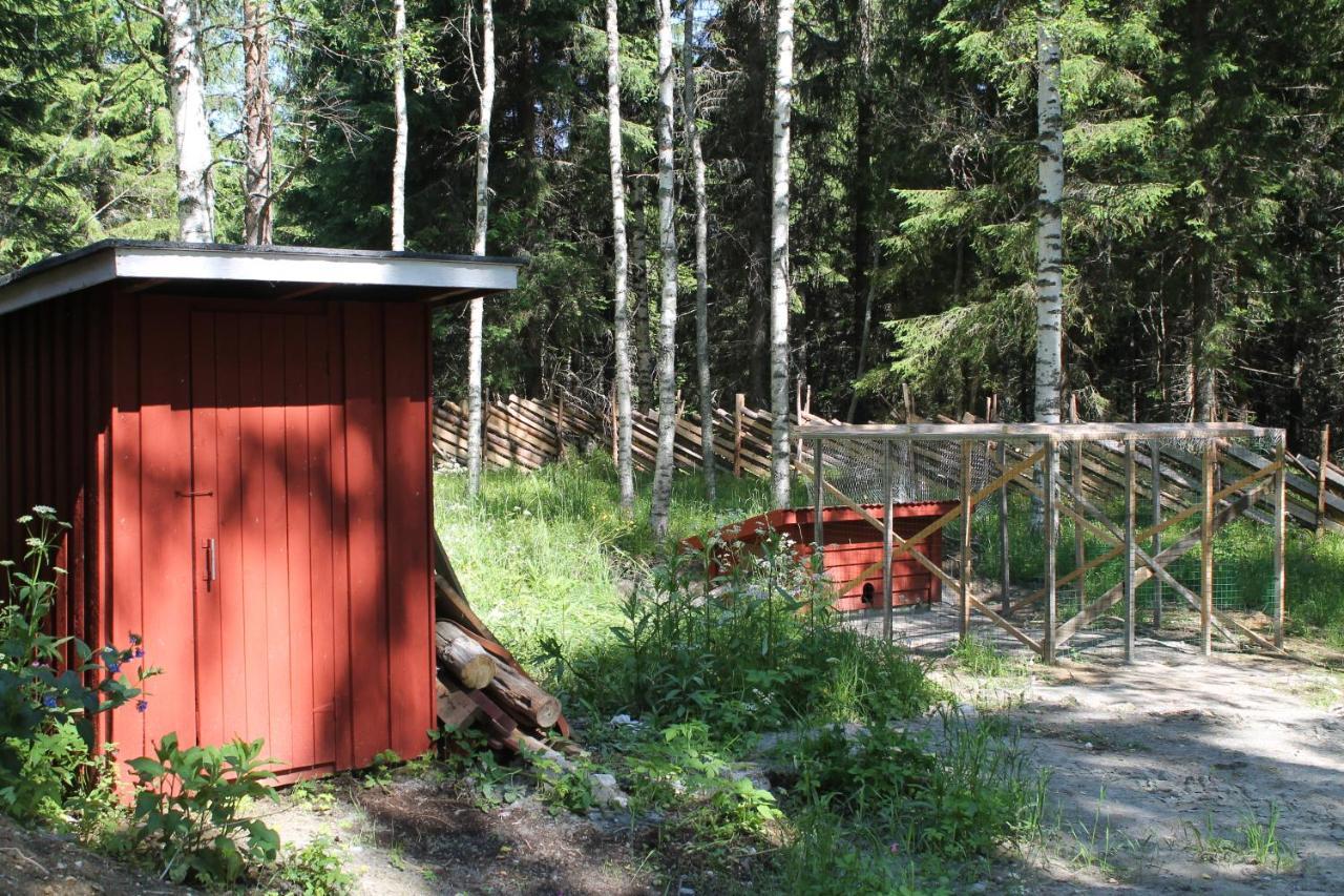 Metsapirtti Villa Kolinkylä Eksteriør billede