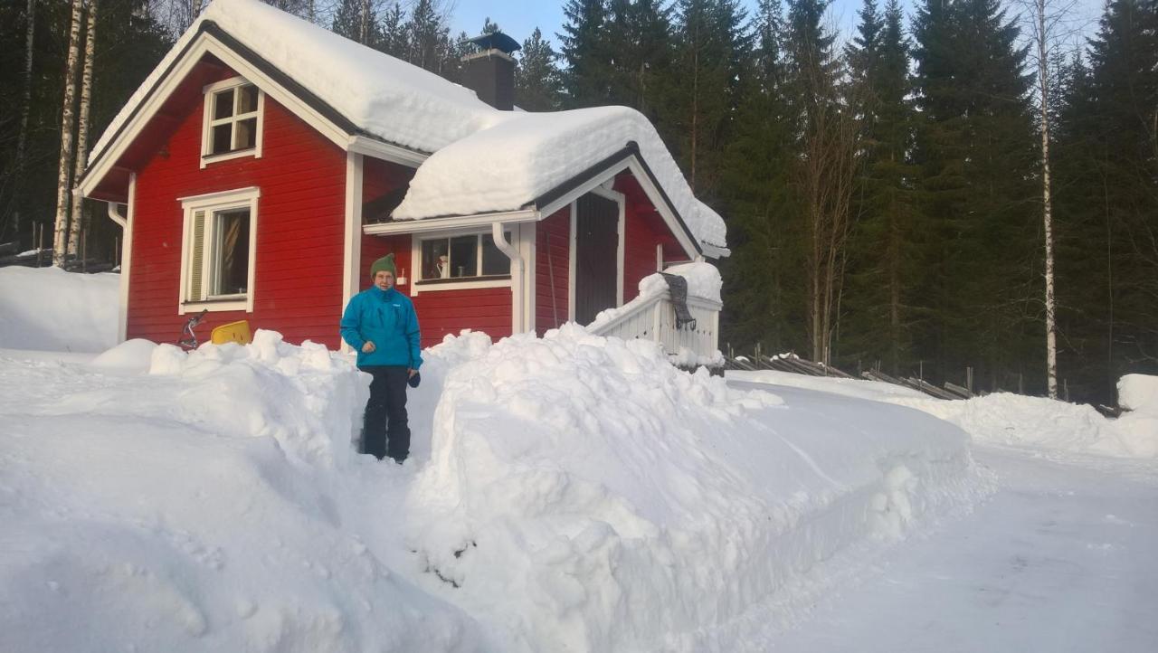 Metsapirtti Villa Kolinkylä Eksteriør billede