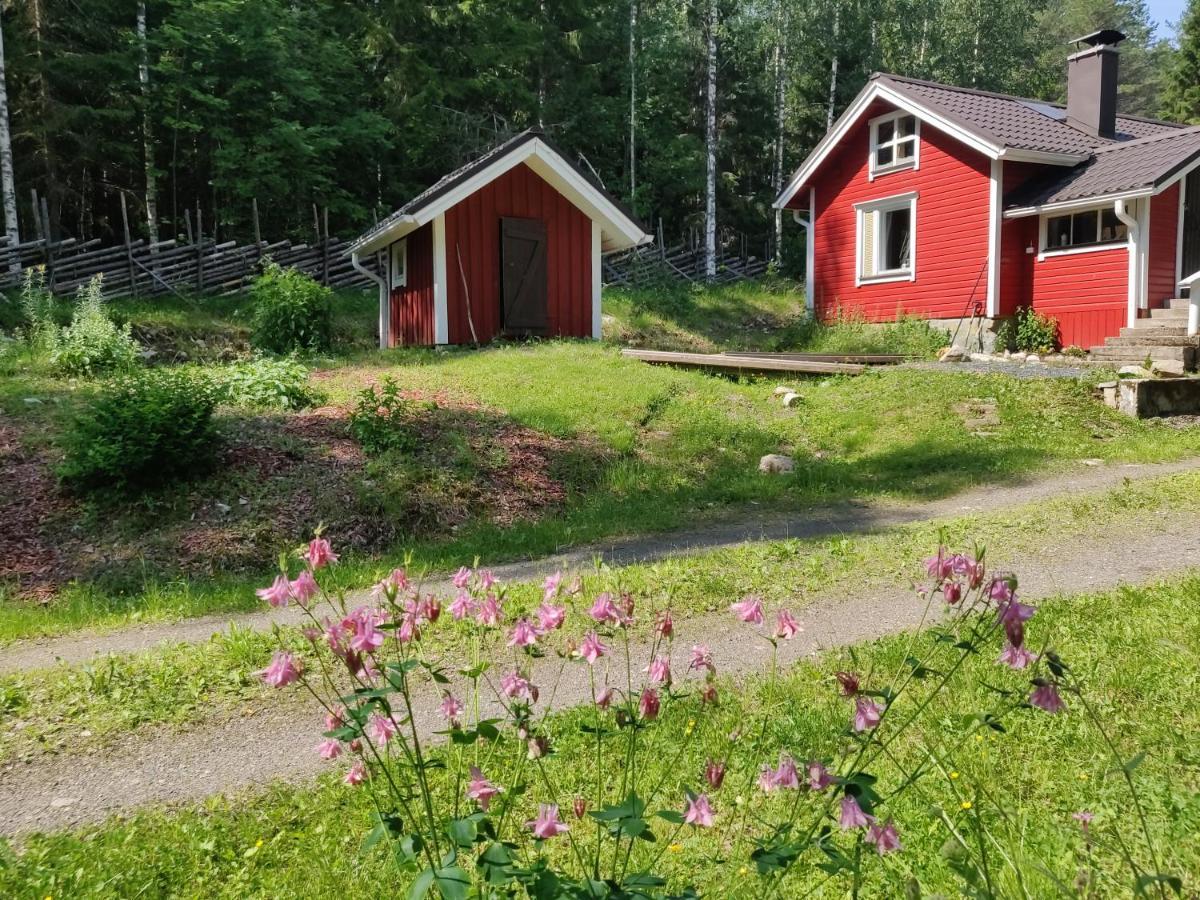 Metsapirtti Villa Kolinkylä Eksteriør billede